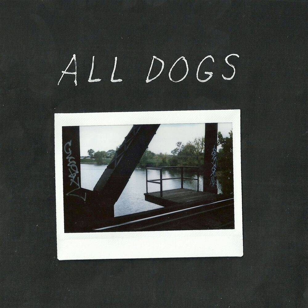 Picture of All Dogs