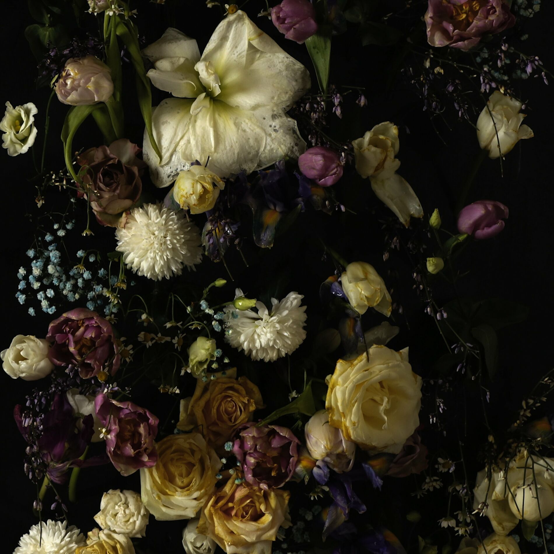 Album cover of Come Back Home