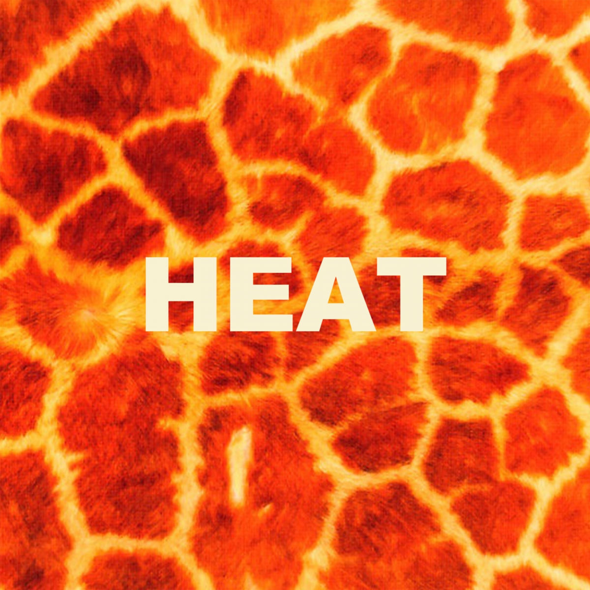 Album cover of Heat
