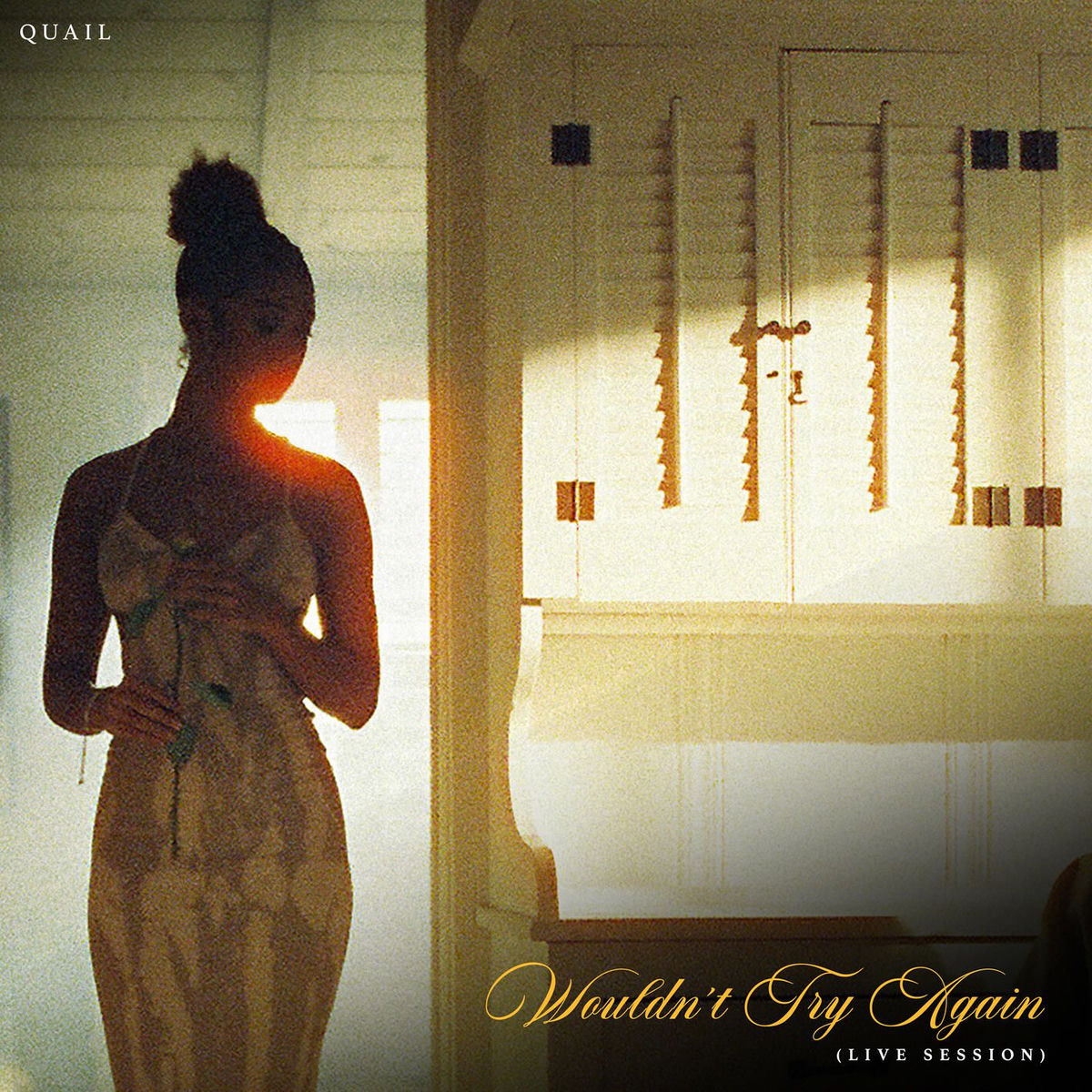 Album cover of Wouldn't Try Again