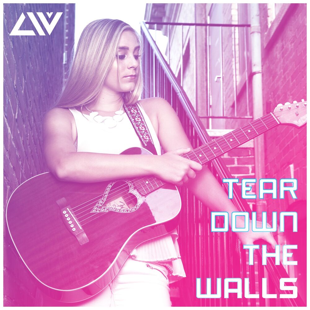 Picture of Tear Down the Walls