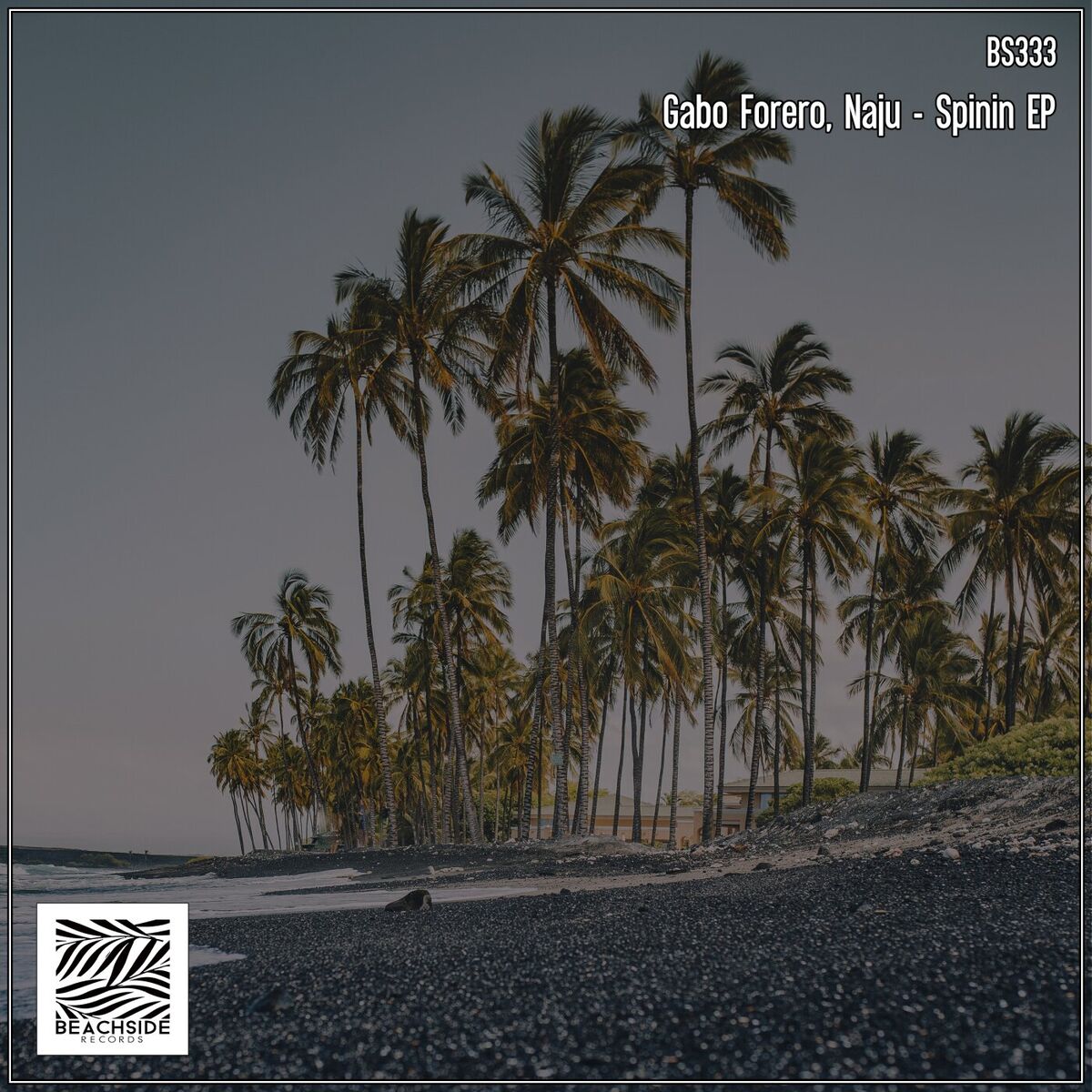 Album cover of Spinin EP