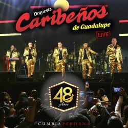 Cover of 48 Años (Live) [Cumbia Peruana]