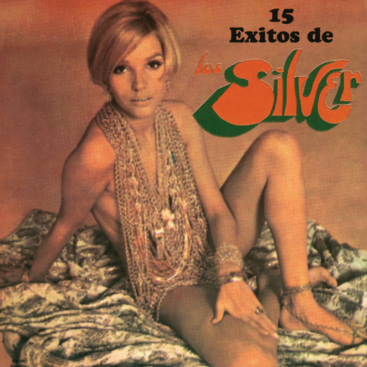 Album cover of 15 Exitos De Los Silver