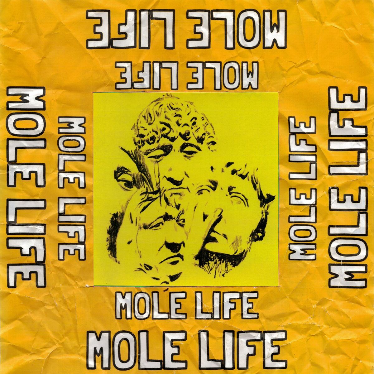 Album cover of Mole Life
