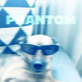 Phantom Dog