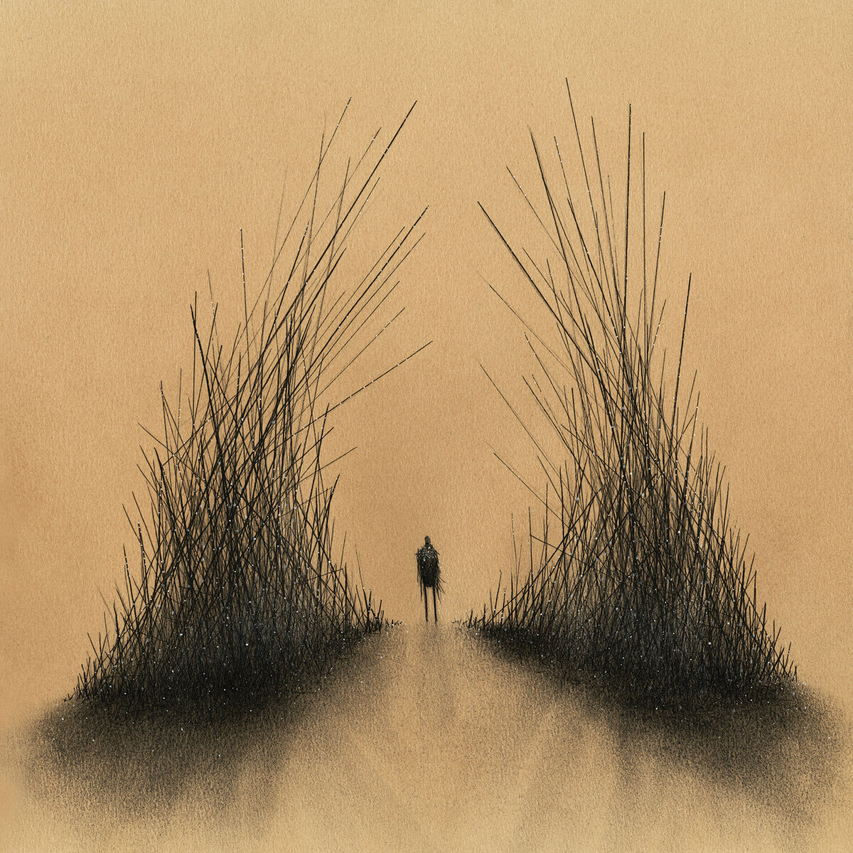 Album cover of Curious Things