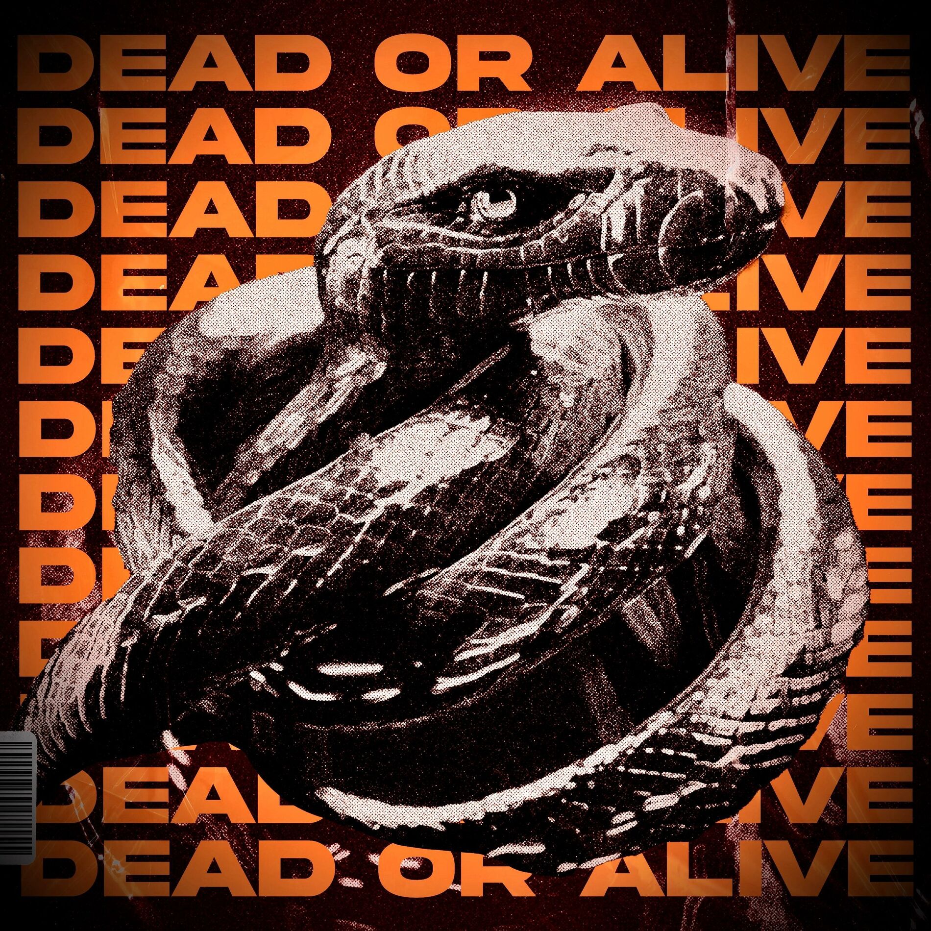 Album cover of Dead Or Alive