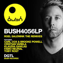 Cover of The Remixes