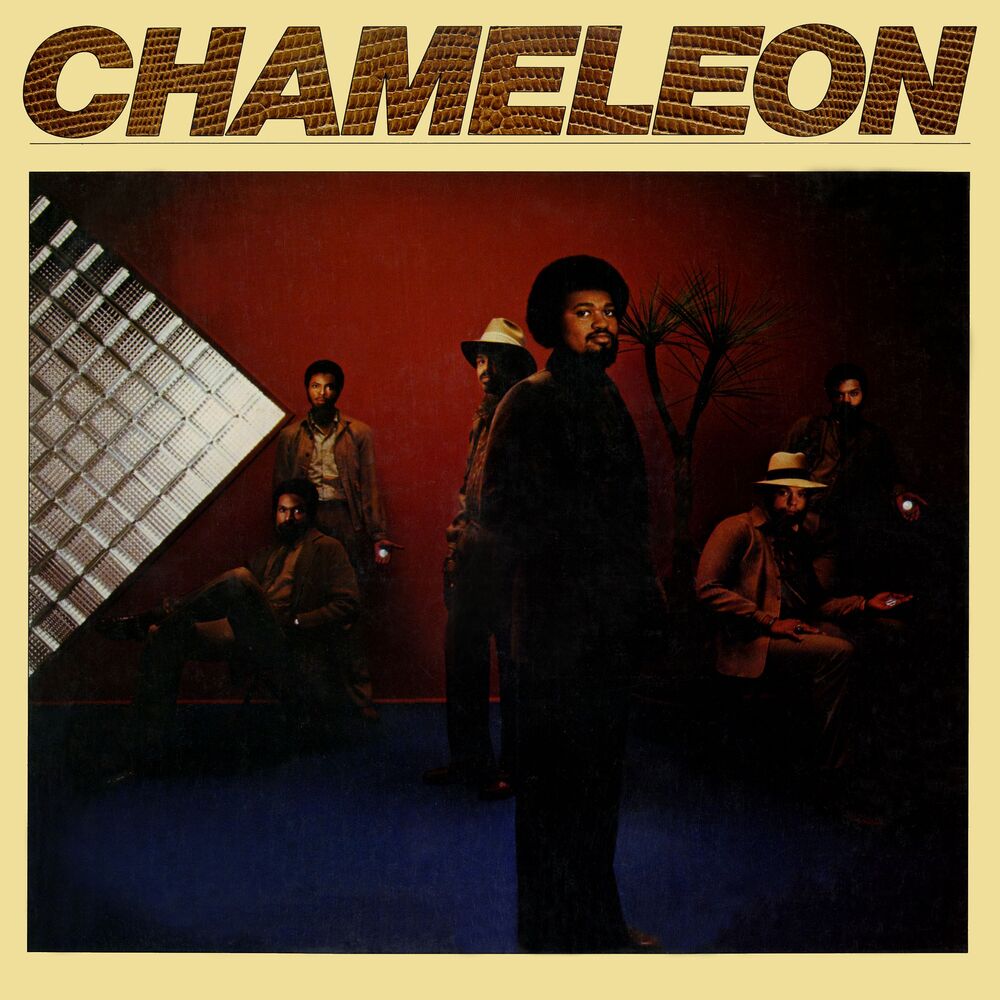 Picture of Chameleon