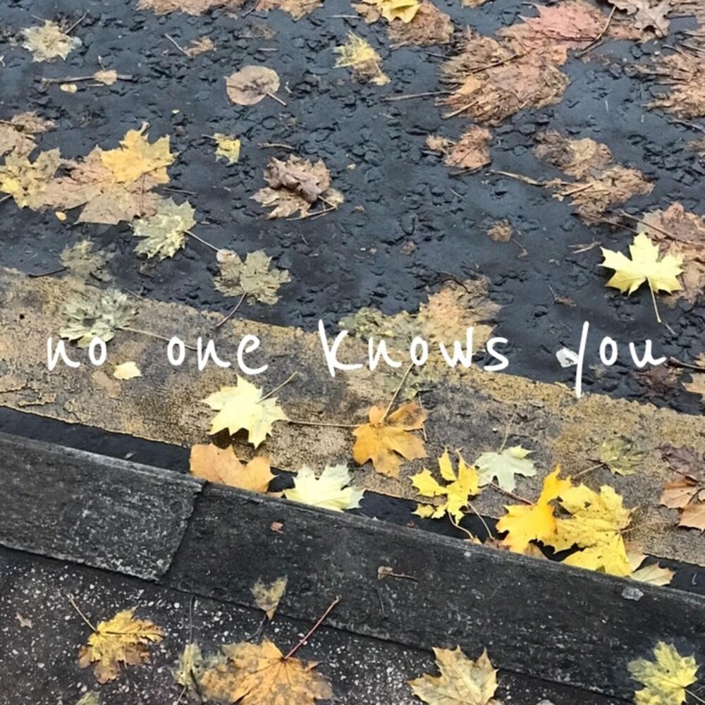 Picture of No One Knows You