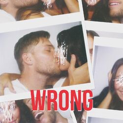 Cover of Wrong