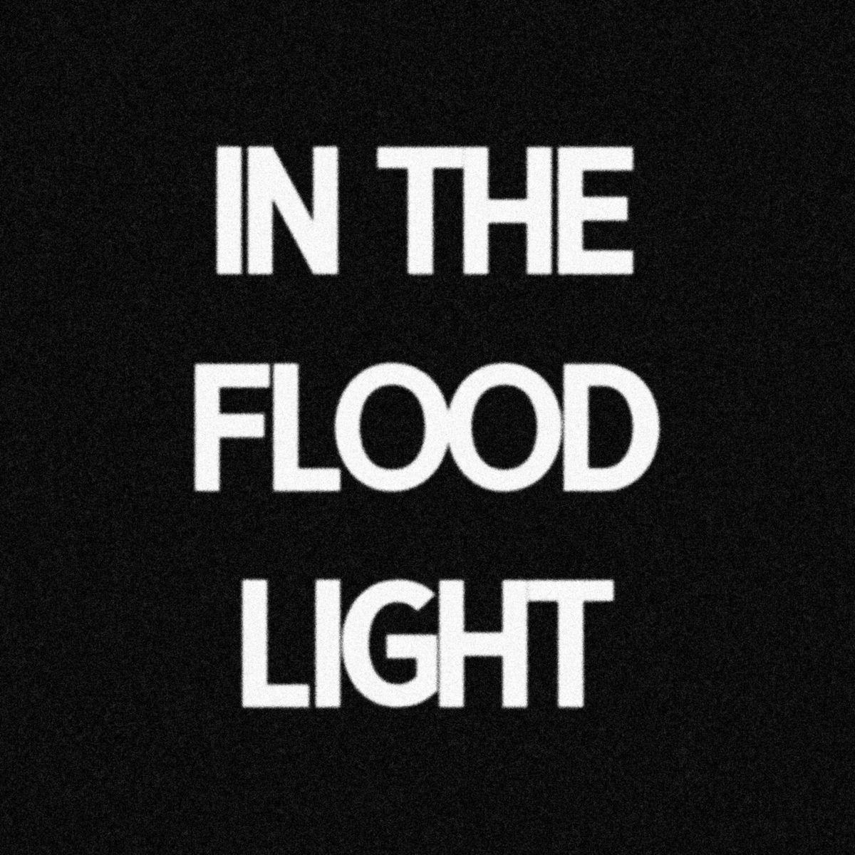Album cover of In The Floodlight