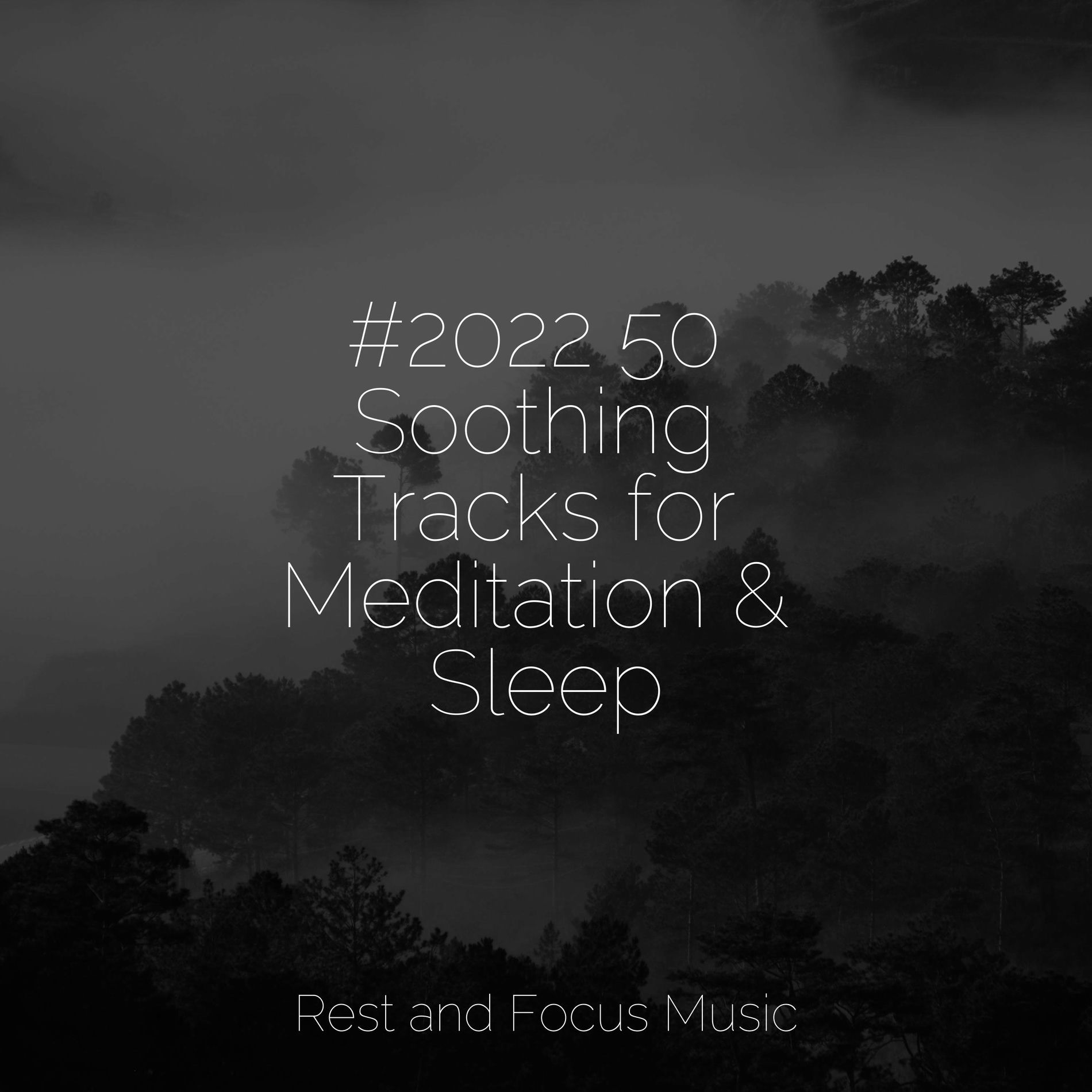 Album cover of #2022 50 Soothing Tracks for Meditation & Sleep