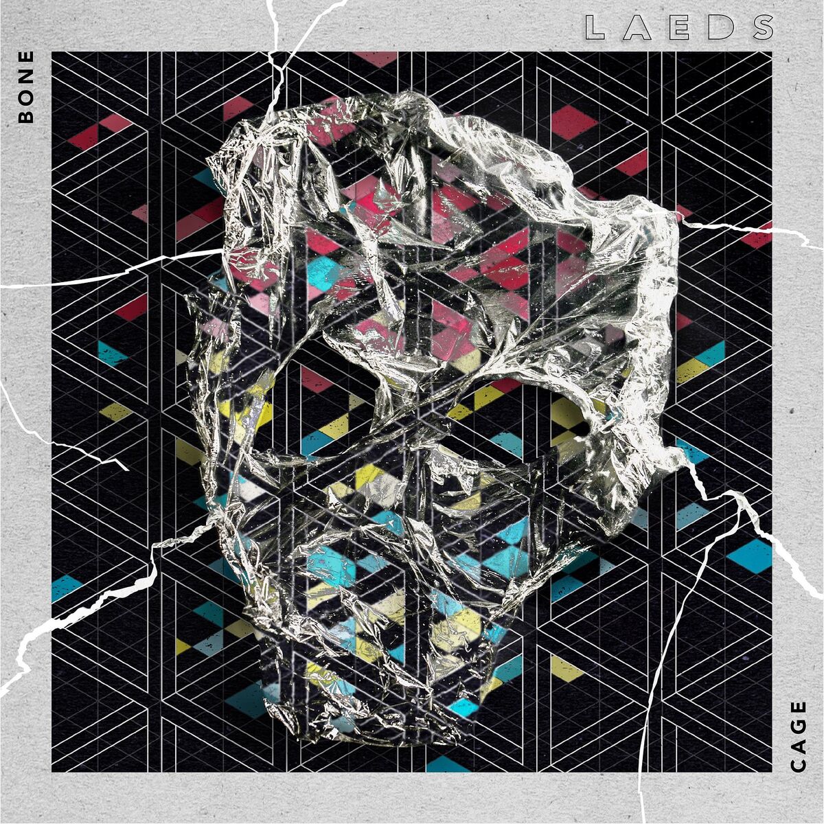 Album cover of Bone Cage