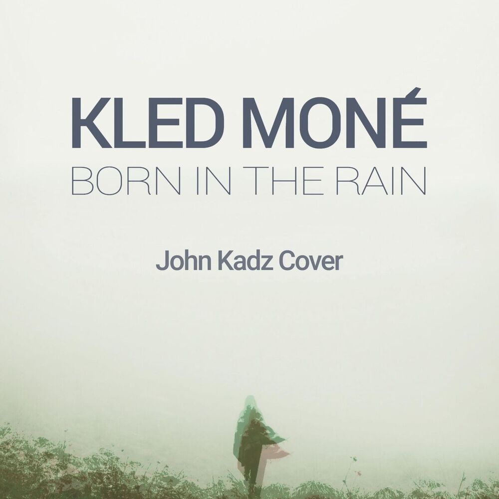 Picture of Born in the Rain (feat. John Kadz)