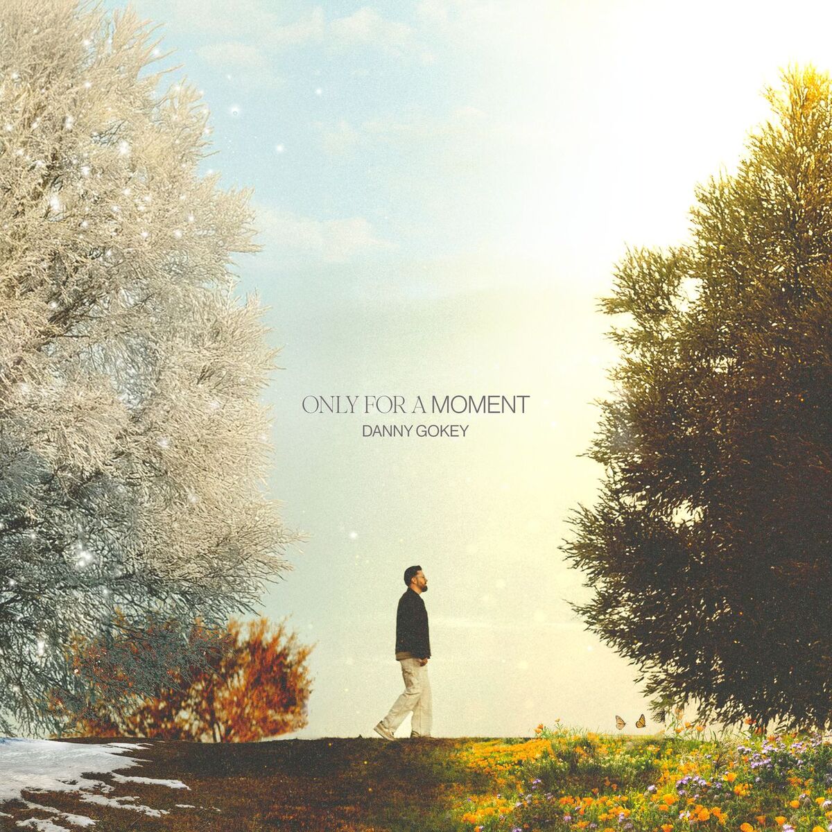 Album cover of Only For A Moment