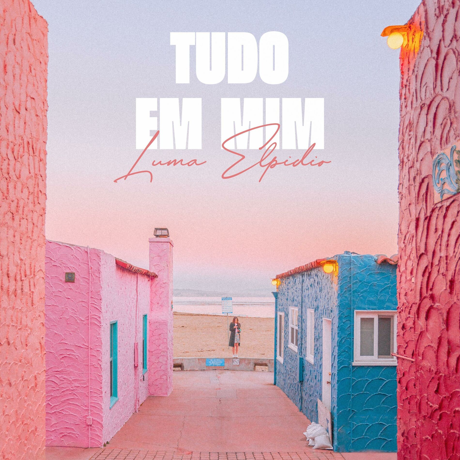 Album cover of Tudo em Mim
