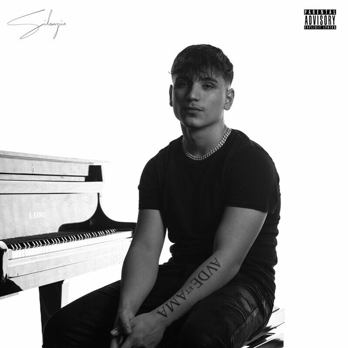 Album cover of Silenzio