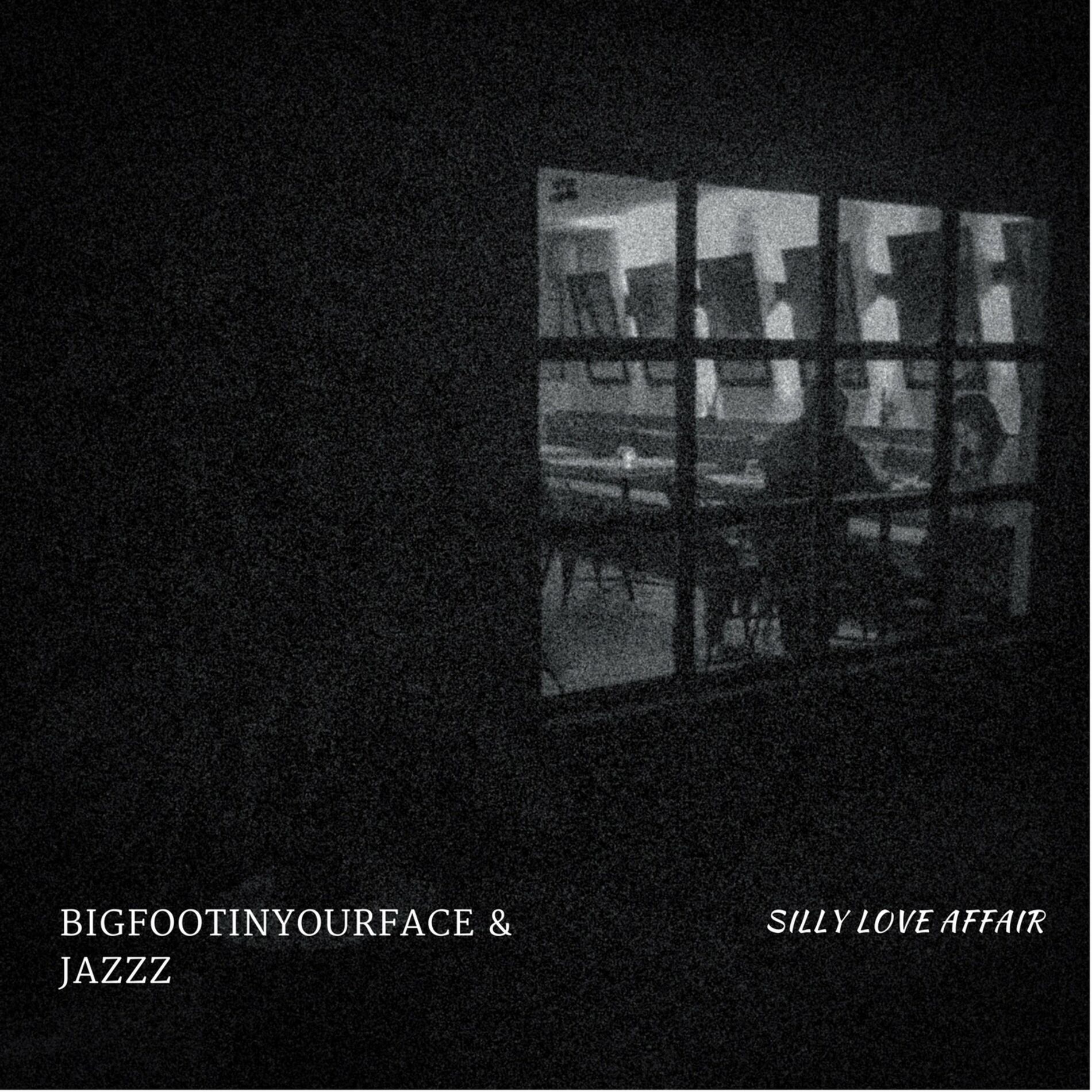 Album cover of Silly Love Affair