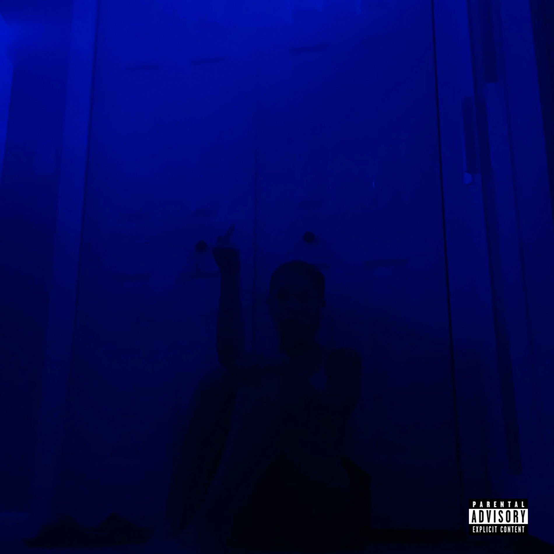 Album cover of The Vibe