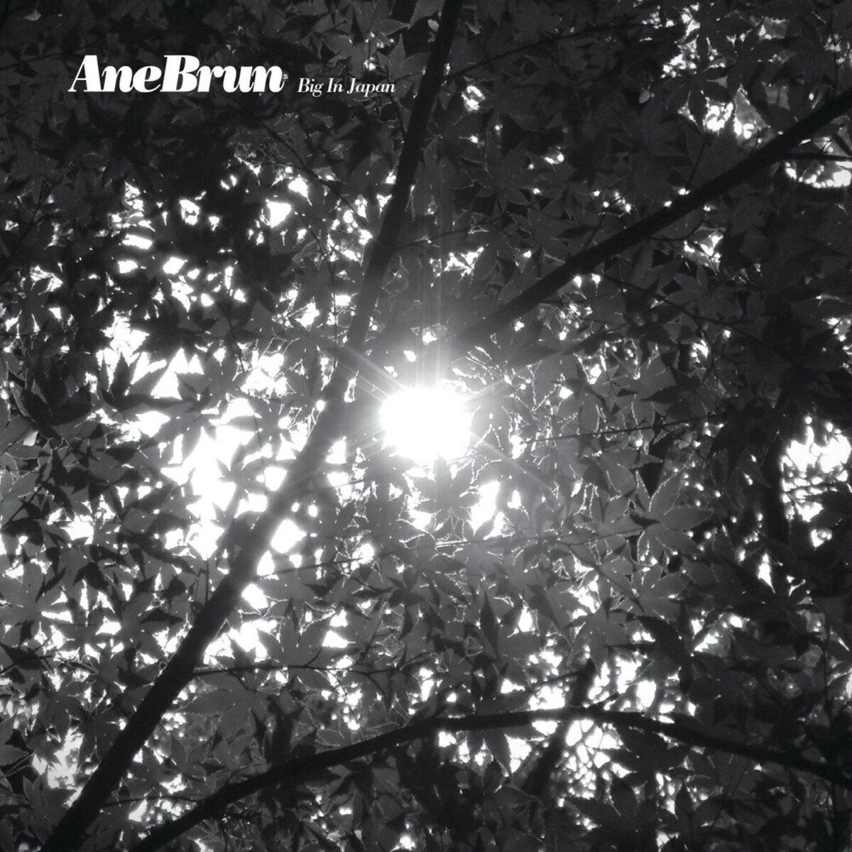 Album cover of Big in Japan