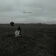 The Search
