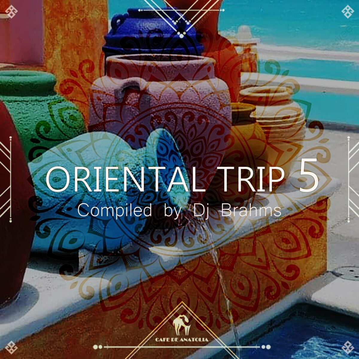 Album cover of Oriental Trip, Vol. 5 (Compiled by Dj Brahms)