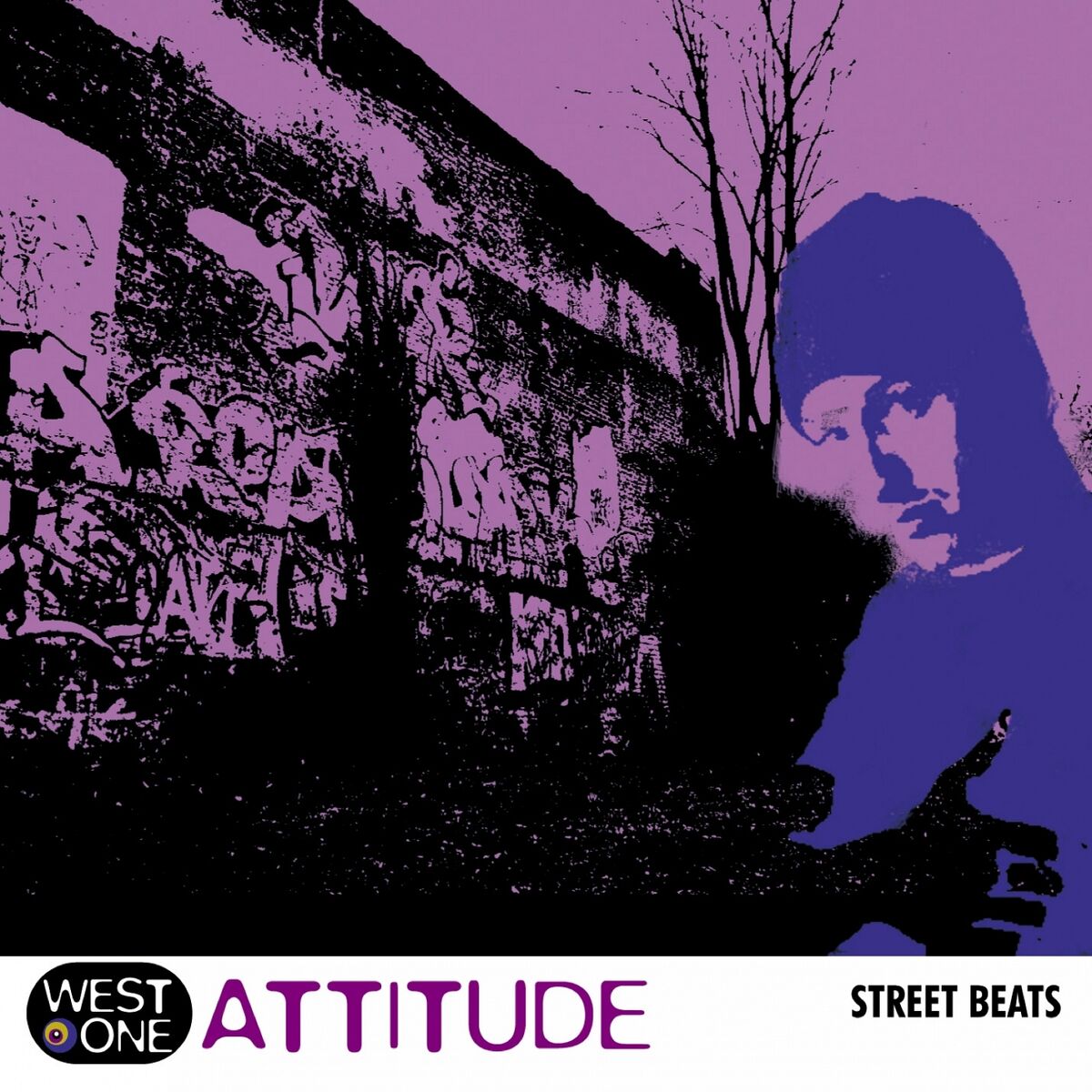 Album cover of Attitude