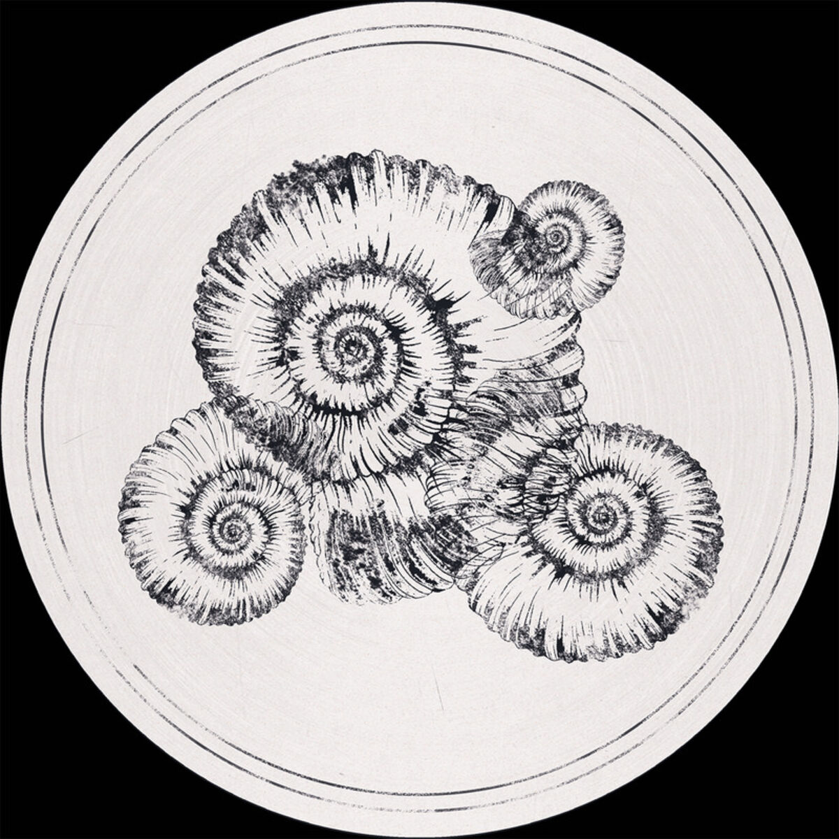 Album cover of Tiziani