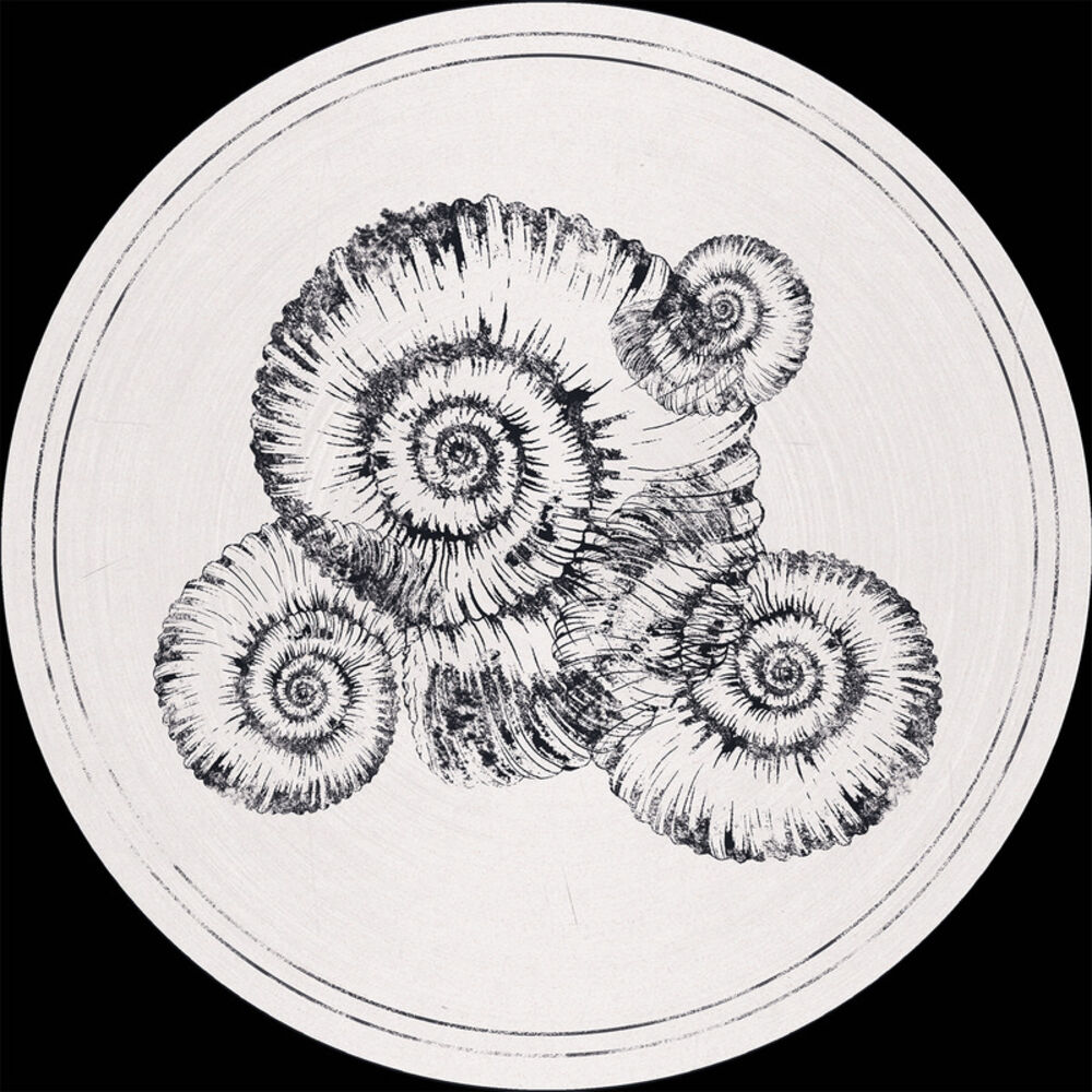 Picture of Perisphinctes Tiziani Remixes