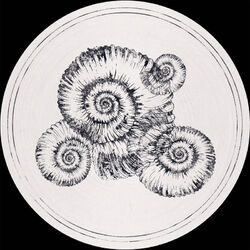 Cover of Perisphinctes Tiziani Remixes