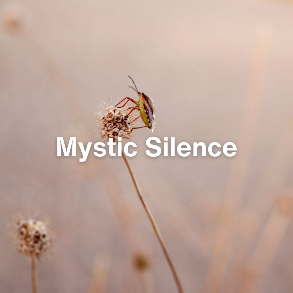 Picture of Mystic Silence