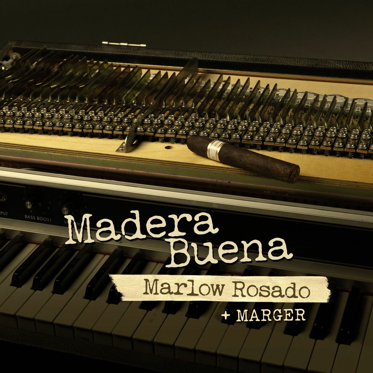 Album cover of Madera Buena