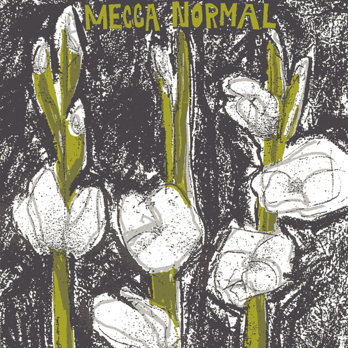 Album cover of Mecca Normal