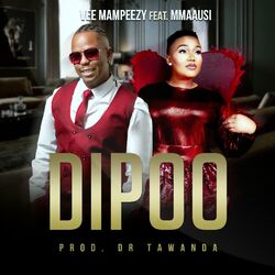 Dipoo