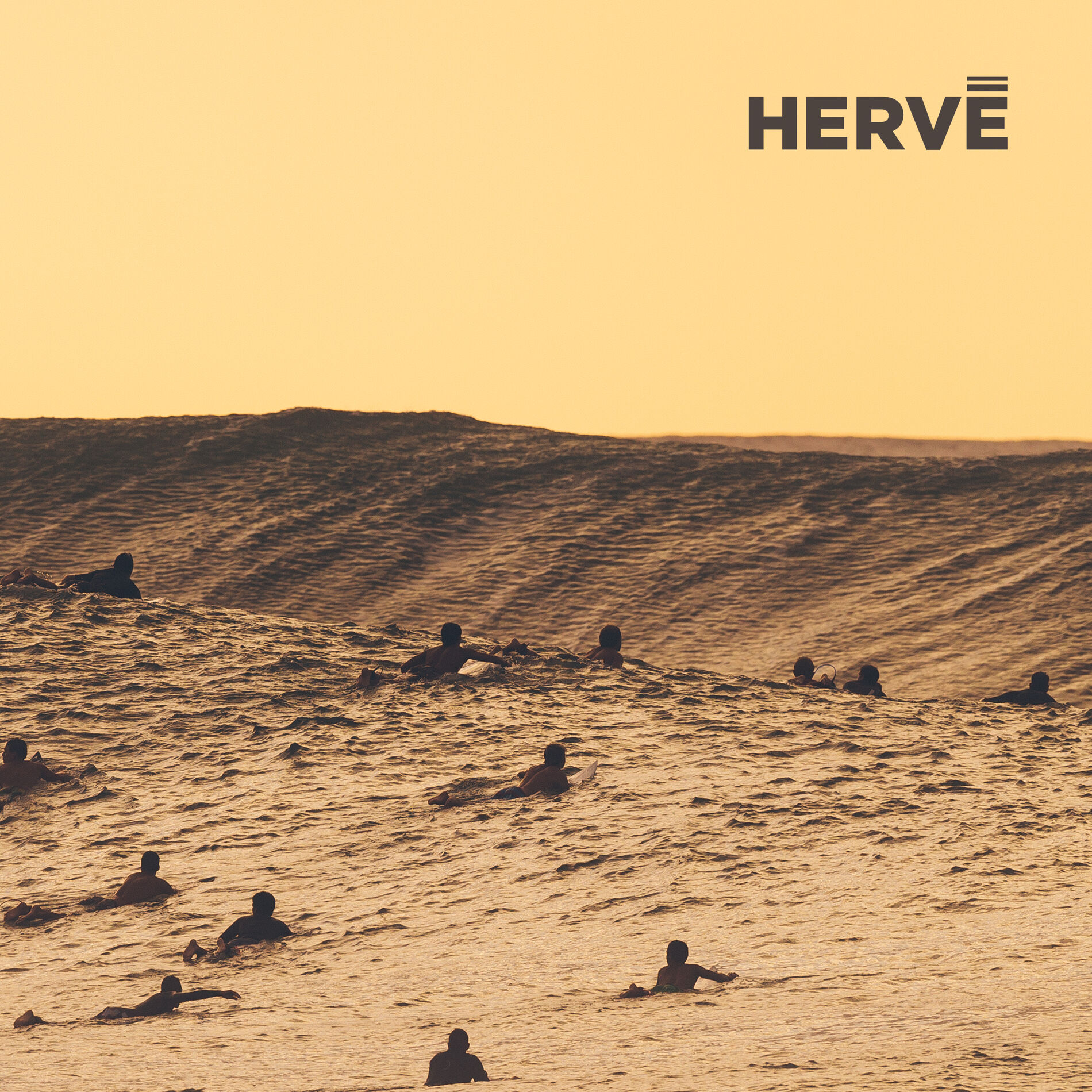 Album cover of Hallucinated Surf