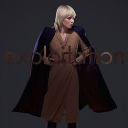 Cover of Exploitation Remixes