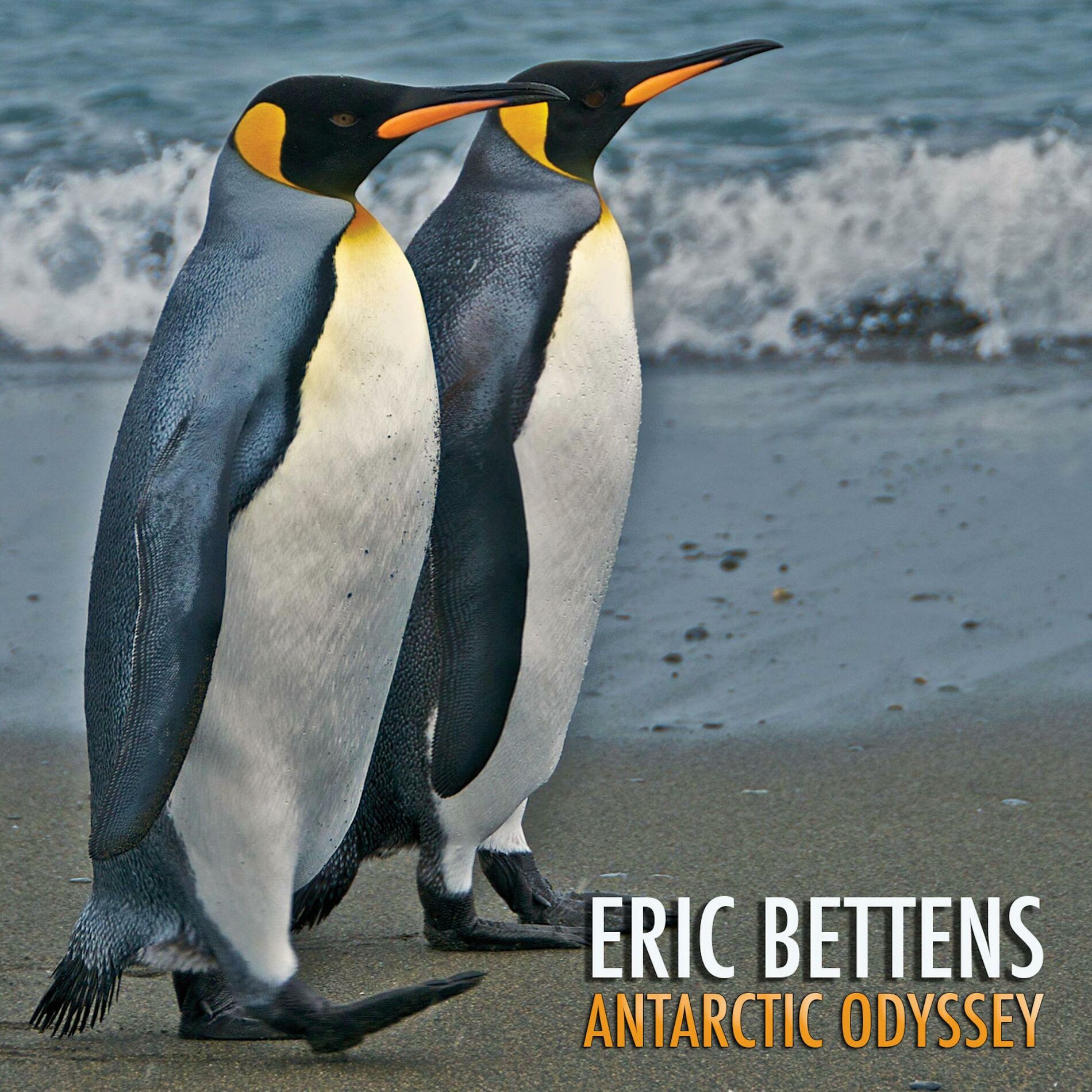 Album cover of Révolte