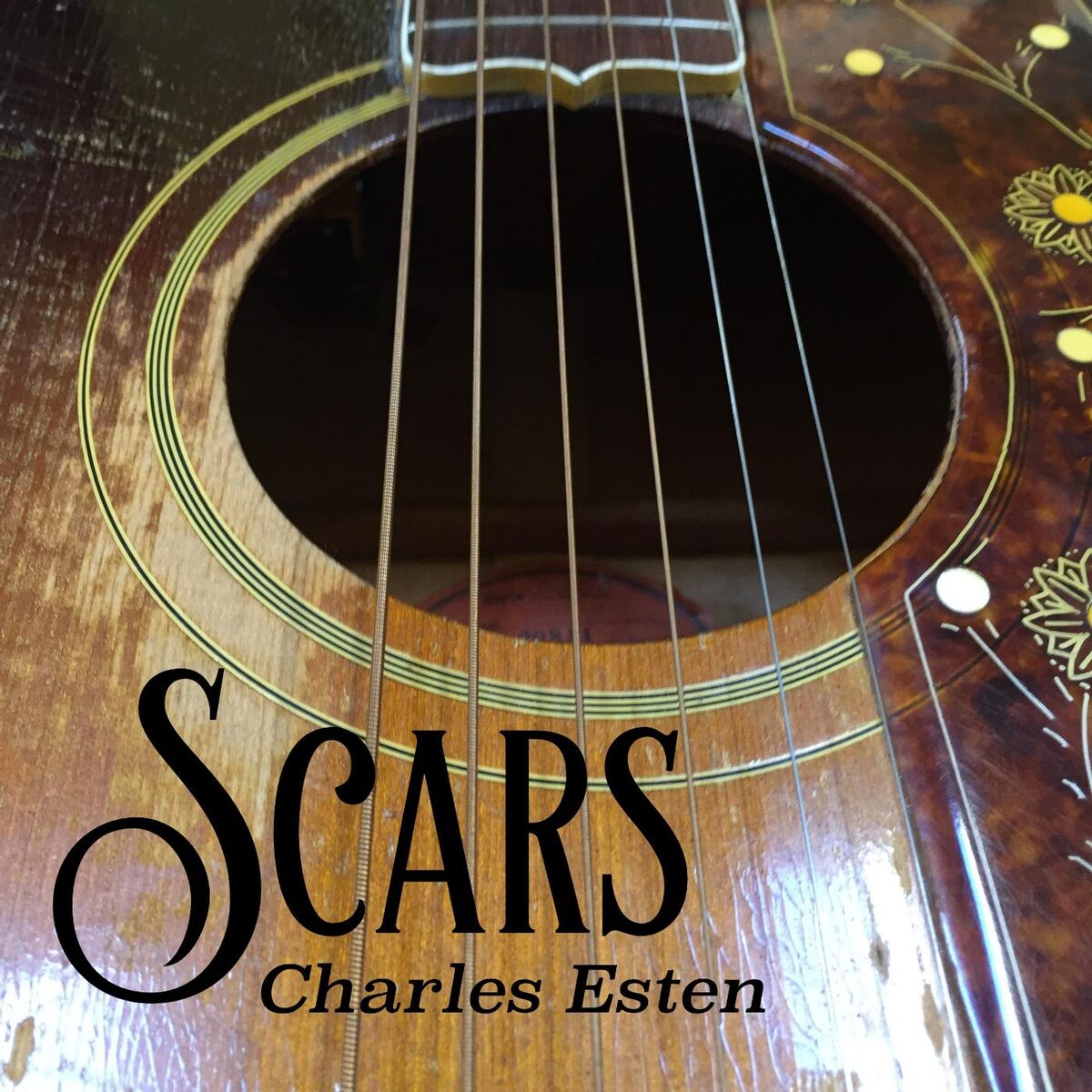 Album cover of Scars
