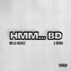 Cover of hmm…BD