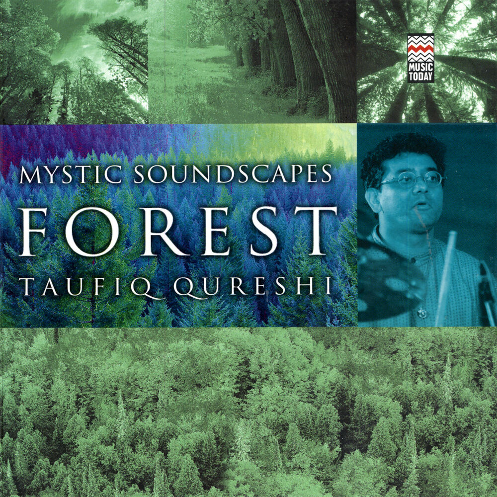 Picture of Mystic Soundscapes: Forest