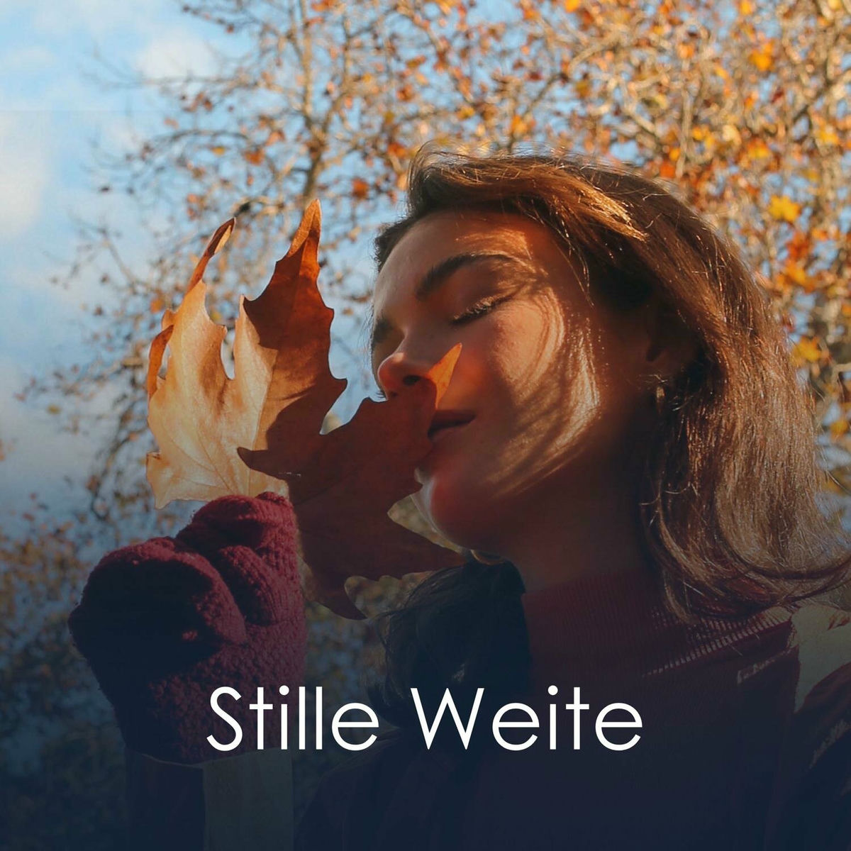 Album cover of Stille Weite