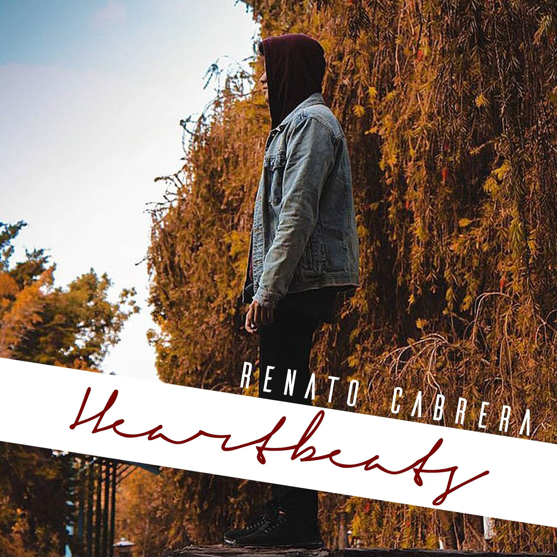 Album cover of Heartbeats