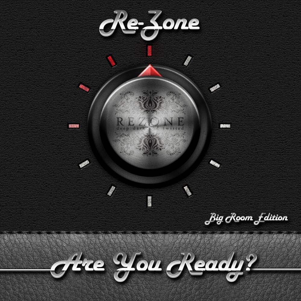 Picture of Are You Ready?!?! (Big Room Edition)