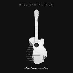 Cover of Instrumental