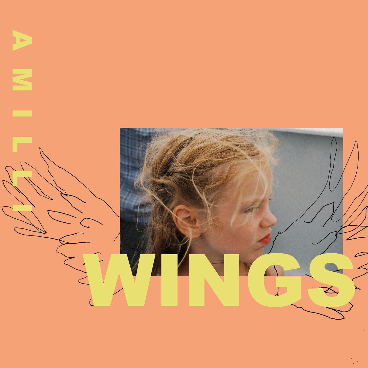Album cover of Wings