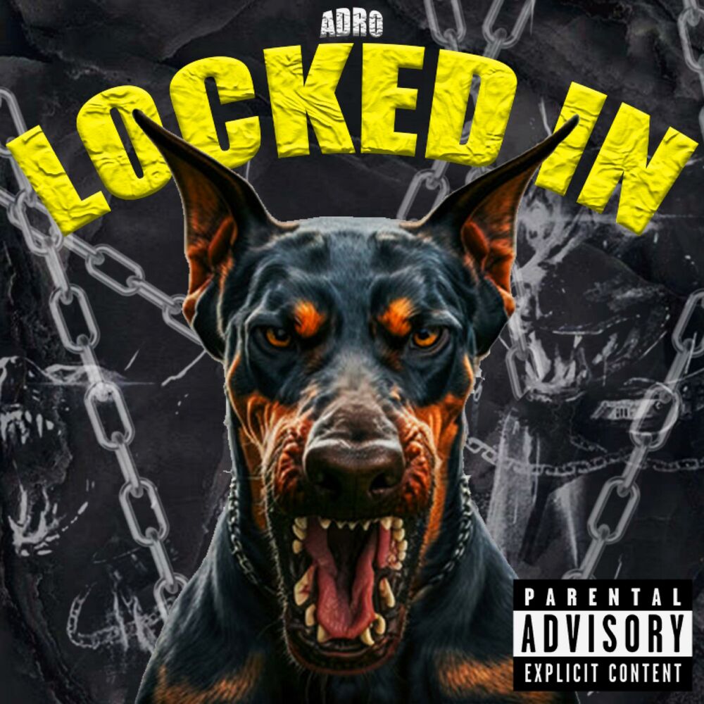 Picture of Locked In
