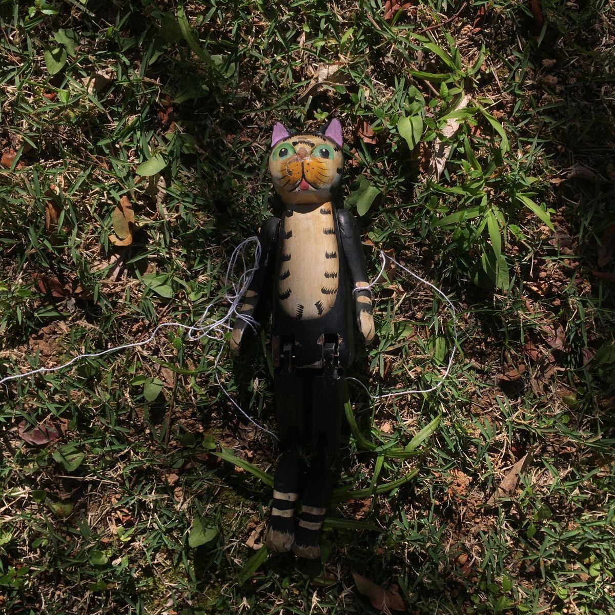 Album cover of Gato Preto
