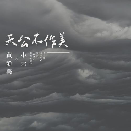 天公不作美 (DJ版)